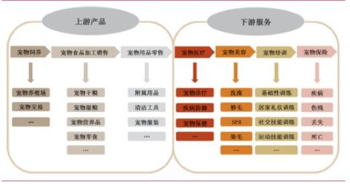普愛醫療寵物DR